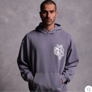 Brand new darc sports HOUSE OF WOLVES "VINTAGE CORNELL" HOODIE IN NORSE PURPLE
